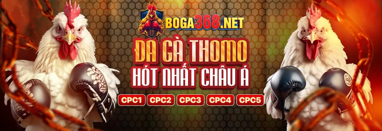 Sảnh Thể Thao tdtc tải app sôi động